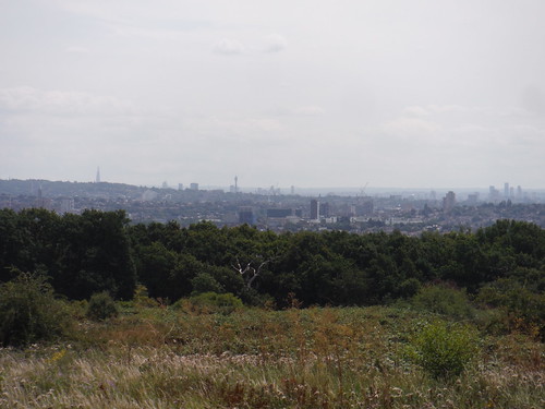 View from The London Viewpoint, Wood Farm, Stanmore: Shard, BT Tower and Nine Elms SWC Short Walk 56 - Stanmore Circular