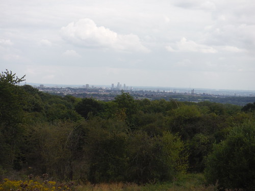 London View from highest point on the Extension in Bentley Priory Nature Reserve SWC Short Walk 56 - Stanmore Circular {Bentley Priory Park Extension]