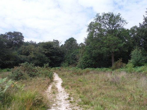 New Heath, Stanmore Common SWC Short Walk 56 - Stanmore Circular [Stanmore Common Extension]