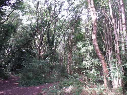 Stanmore Country Park SWC Short Walk 56 - Stanmore Circular