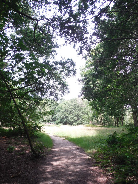 Stanmore Country Park SWC Short Walk 56 - Stanmore Circular