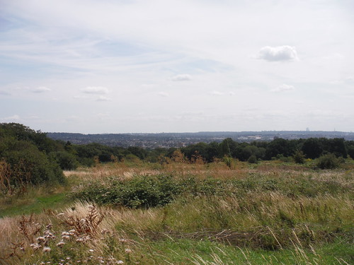 View from The London Viewpoint, Wood Farm, Stanmore: Ally Pally to The Shard 