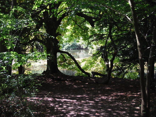 Summerhouse Lake through treesThe Greensward, Bentley Priory Nature Reserve SWC Short Walk 56 - Stanmore Circular