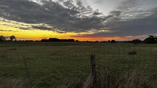 Sunrise at Devon Meadows