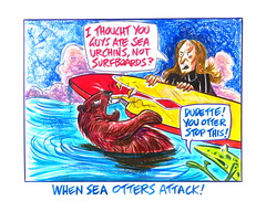 When sea otters attack