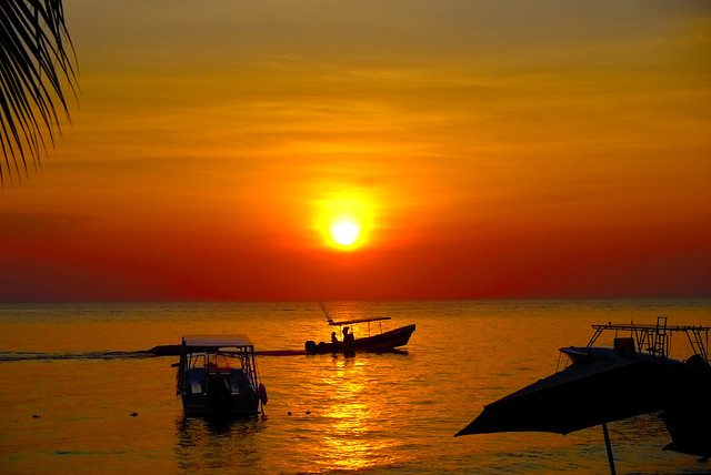 Boats at sunset in Roatan, Honduras