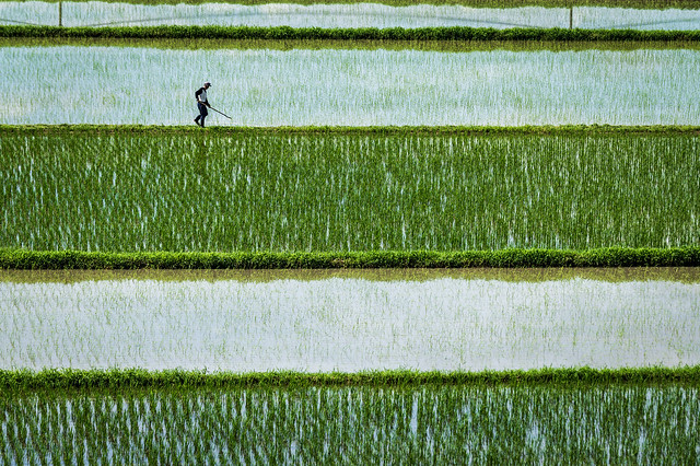水鏡田 #1ーSky Mirror in a Rice Field #1
