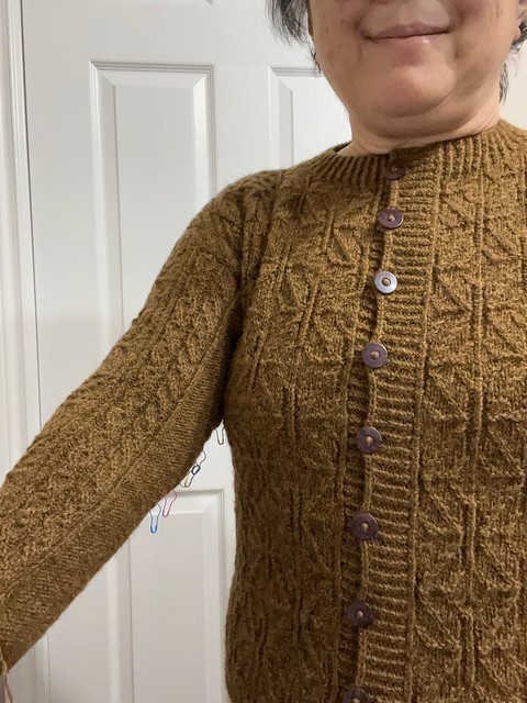 I discovered that I used the smaller needle for my entire sleeve! No wonder I had to knit so many more rounds…I had to work 5 repeats to get the length required before the ribbing.
