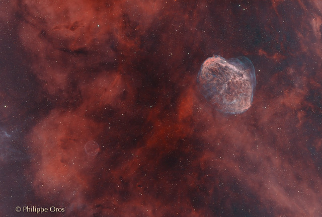 The Crescent and Soap Bubble Nebulae