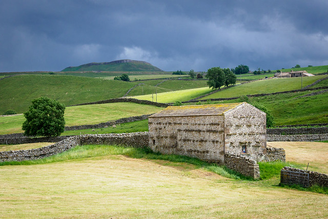 Wensleydale landscape, near Bainbridge