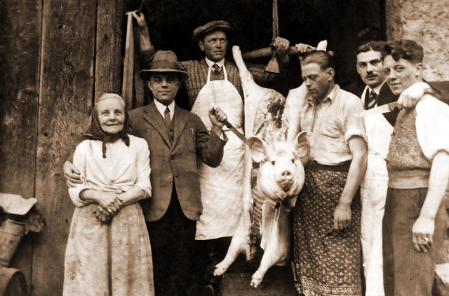 Butchering a 'Schwein' in Germany circa 1930's