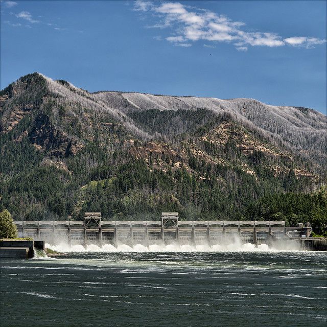 Bonneville Dam • Summer 2023