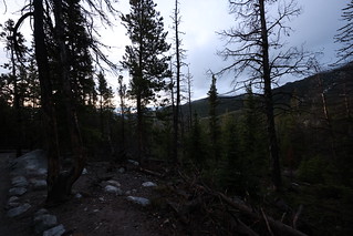 Hike on the Bear Lake Corridor Trail - Rocky Mountain National Park (Colorado) - June 5th, 2023