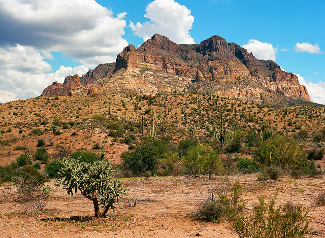 The Edge of the Sonora Desert
