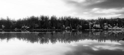 bw tcslowhand blackandwhite blackwhite monochrome noiretblanc mono tree arbre s21ultra s21 samsung smg998b vancouver stanley park stanleypark canada lostlagoon reflection outside landscape water nature sky clouds sunset lake