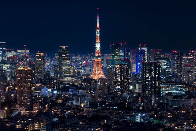 Night Falls / Lights Come Alive, Urban Landscape of Tokyo