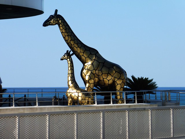 giraffes on vacation by the sea