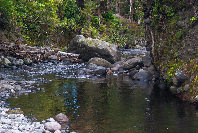 Mangawhero River Vll