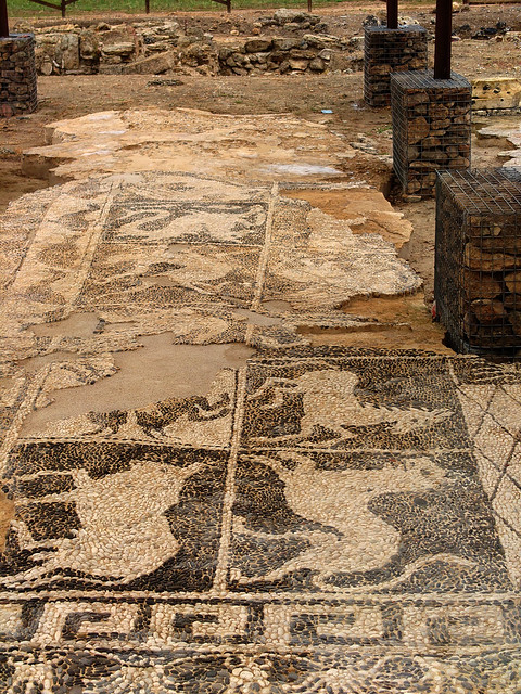Excavated mosaic floor