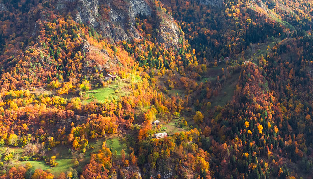 Autumn Landscape