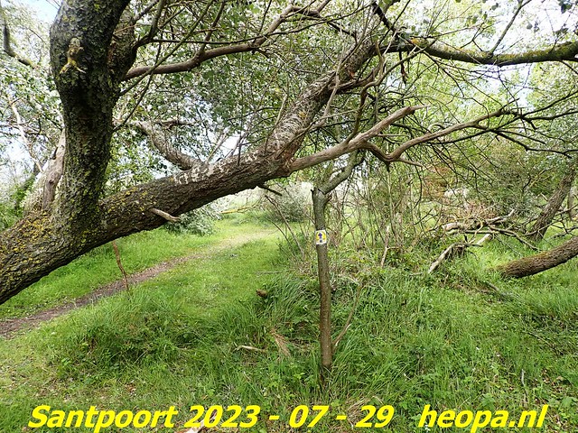 2023-07-29       Santpoort rondje Zandhaas (63)