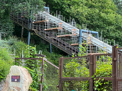 Photo 10 of 15 in the Alton Towers Resort Summer catch-up (30th Jul 2023) gallery