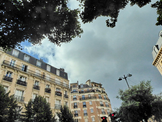 74 - Paris Juillet 2023 - feuillages sous la pluie avenue Gambetta