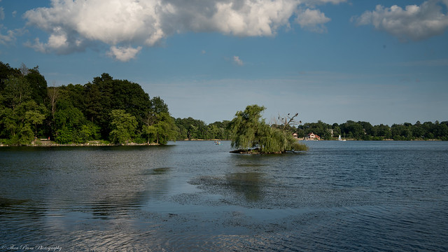 A scenic Jamaica Pond