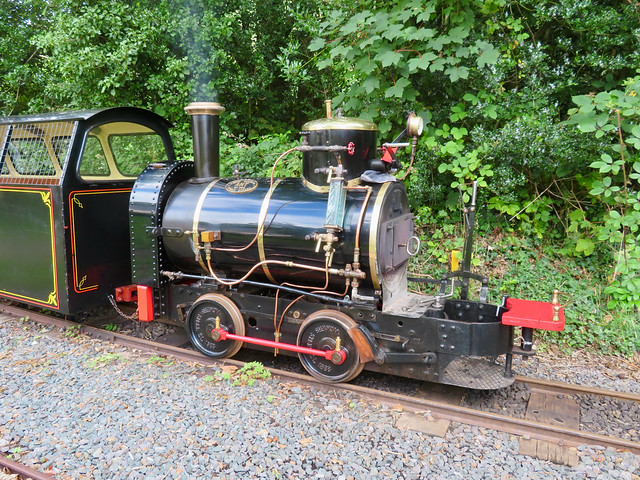 Great Laxey Mine Railway 'Ant'