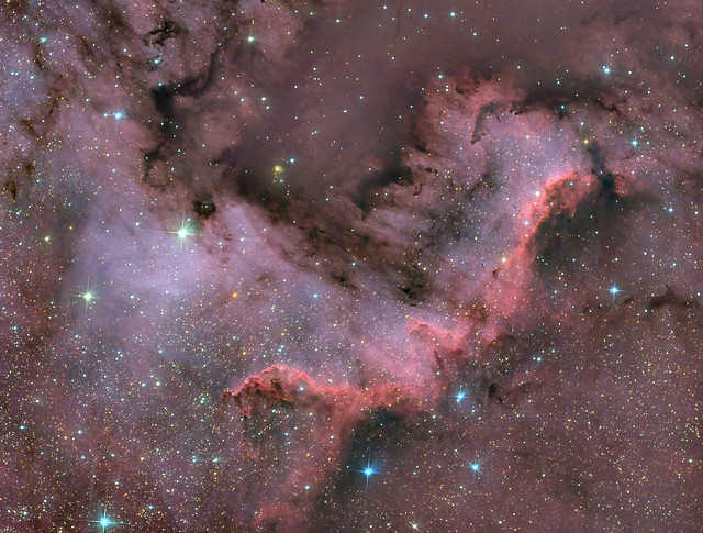 NGC7000_200-800_ASI1600MC-43x240s_20230716