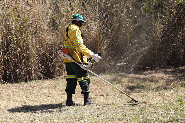 Brigadistas atuam nas unidades de conservação do DF para prevenir incêndios