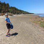 Leadbetter State Park Easy walking on the beach facing Willapa Bay