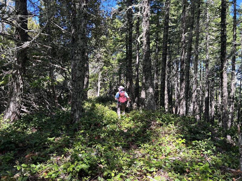 Barklow Mountain Hike