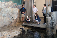State Rep. Tracy Marra was joined by Rep. Dominique Johnson and Lieutenant Governor Susan Bysiewicz
during a recent behind-the-scenes tour of The Maritime Aquarium of Norwalk.

The lawmakers were visiting the aquarium to promote Connecticut's Summer at the Museum 2023 program that provides free admission to children when accompanied by a paid adult between July 1st and September 4th.