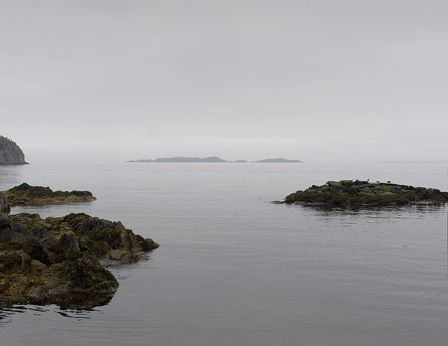 The comfort of stillness and sparse , Newfoundland, June 2023, OM15197