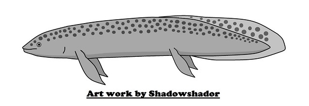 Extinct lungfish (†Ptychoceratodus phillipsi)