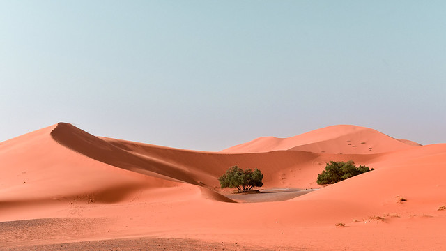 Erg Chebbi dunes (Marocco)