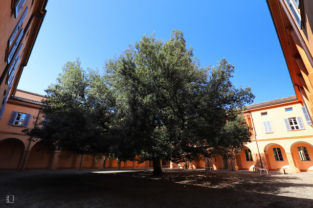#a0127 Modena, giardino del Leccio, complesso San Paolo