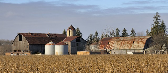 Abandoned farm buildings, Caledon, Ontario..