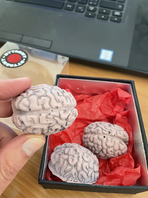 Delicious chocolate brains from Bittersweet chocolatier Leuven
