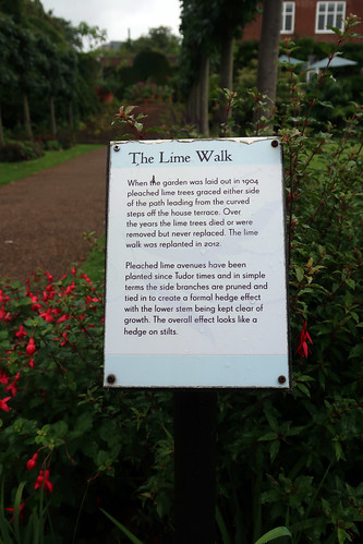 The Lime Walk