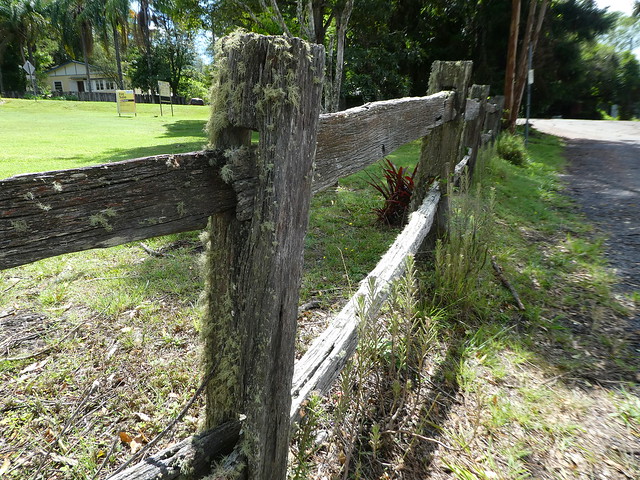 Mossy post & rail fence, Cawongla, NSW