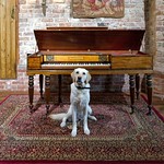 Photoshoot with the Broadwood Square Piano August 2023