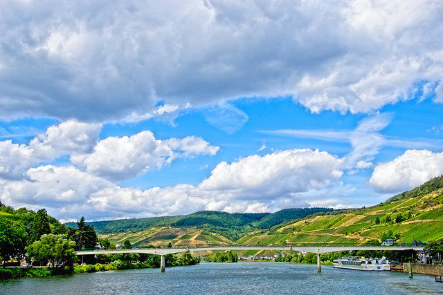 Mosel View #5