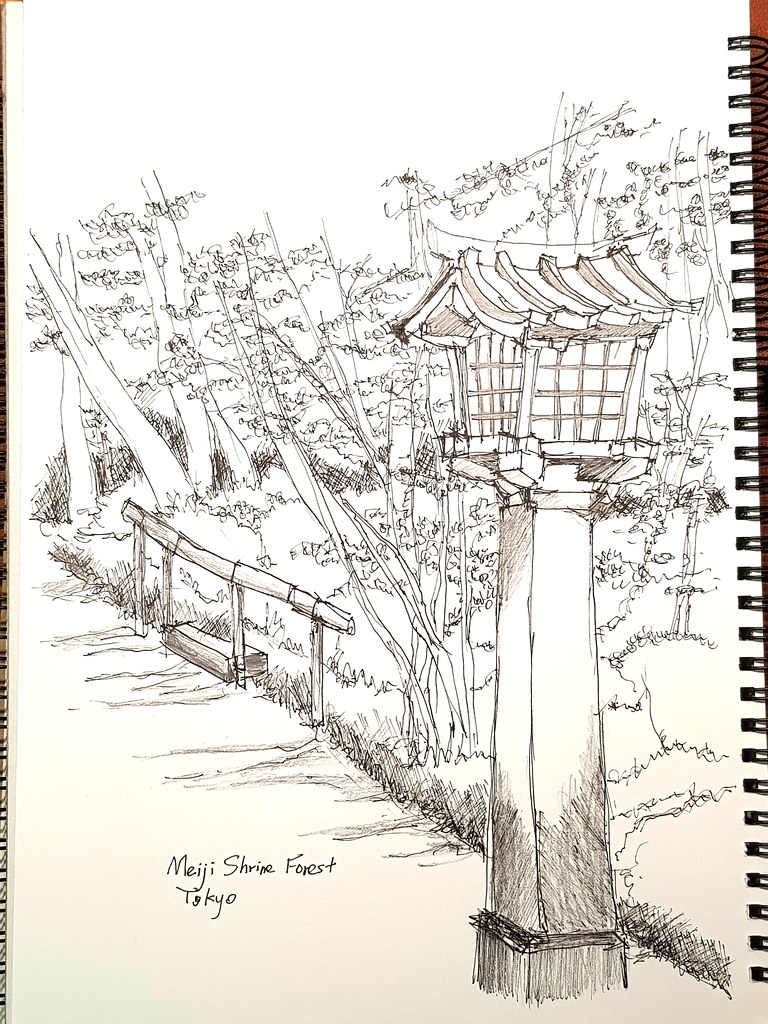 明治神宮森林 Meiji Shrine Forest - 素描 Sketches (Pen) ...