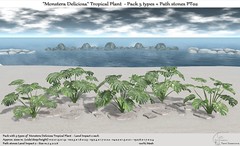 .:Tm:.Creation "Monstera Deliciosa" Tropical Plant + Path stones PT02