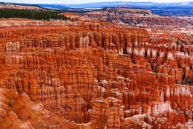 Famous Amphitheater  of Bryce Canyon !![Explored-4-August-2023]