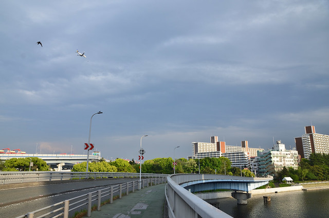 Skymark B737 above Oi-futo in 2021 April