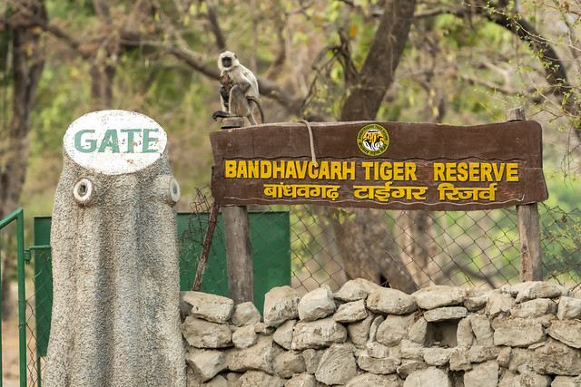 Panneau du parc national de la réserve de tigres de bandhavgarh.