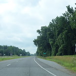 AL5 South Sign Near US278 in Natural Bridge Southbound on Alabama State Route 5.